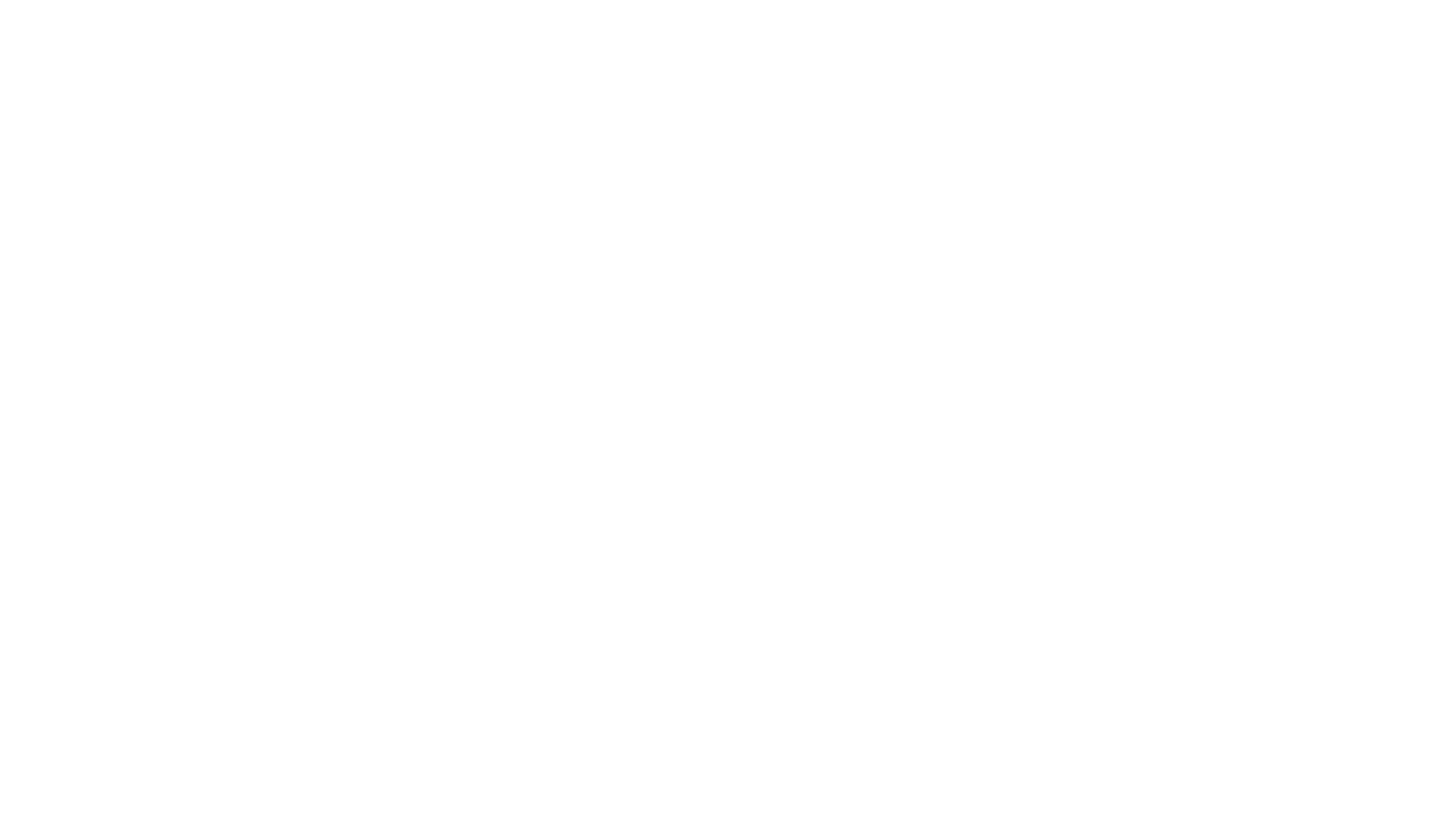 Velnoir Logo